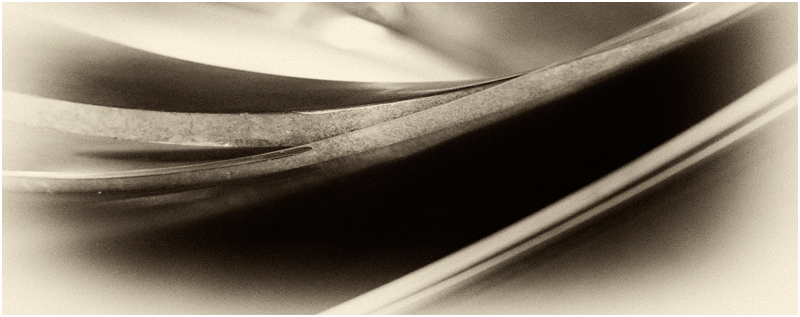 SHAPES by Jean Pain.jpg